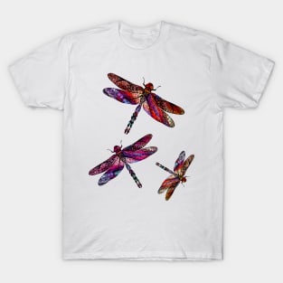 Ornate Dragon Fly Colorful Insect Illustration T-Shirt